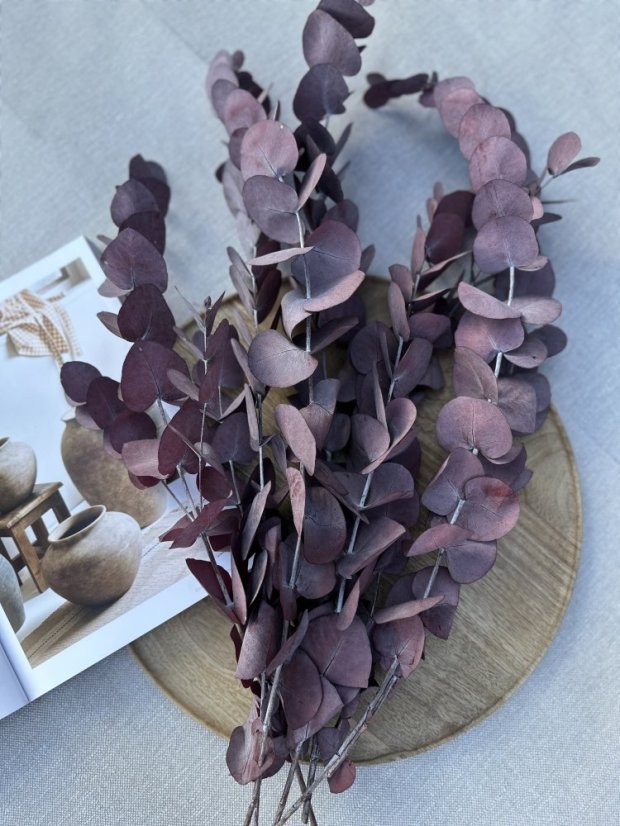 Eukalyptus stabilizovaný - cinerea vínový
